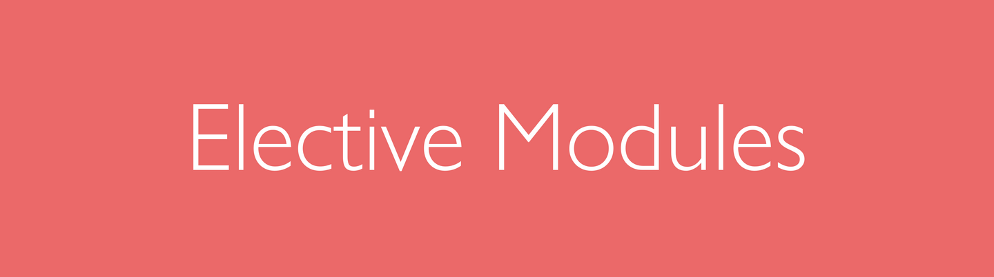 Elective Modules 1